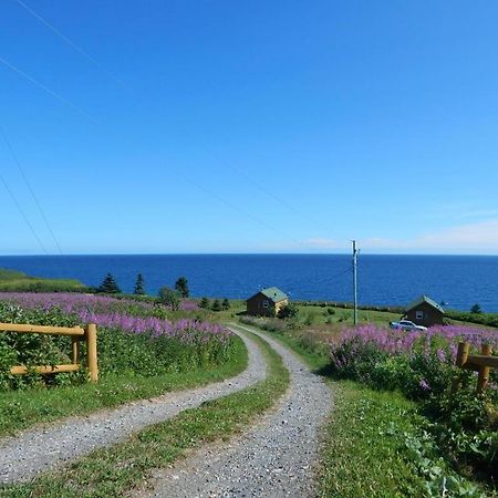Les Chalets Brise-De-Mer Sainte-Therese-de-Gaspe Dış mekan fotoğraf