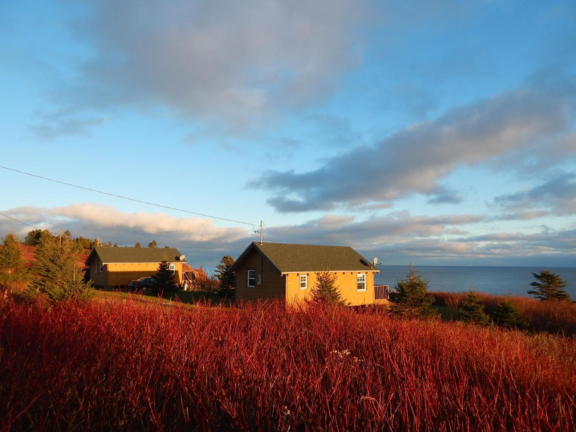 Les Chalets Brise-De-Mer Sainte-Therese-de-Gaspe Dış mekan fotoğraf