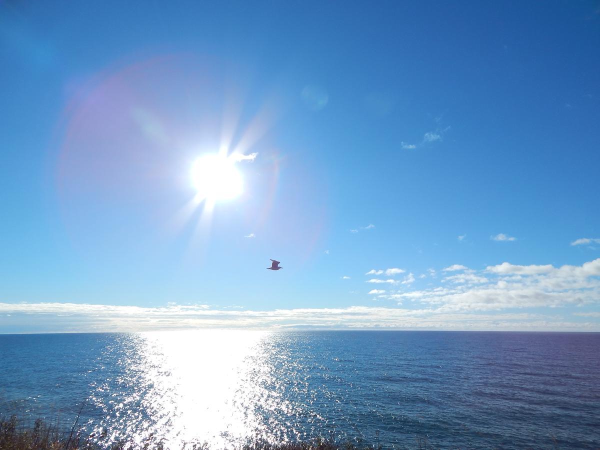 Les Chalets Brise-De-Mer Sainte-Therese-de-Gaspe Dış mekan fotoğraf
