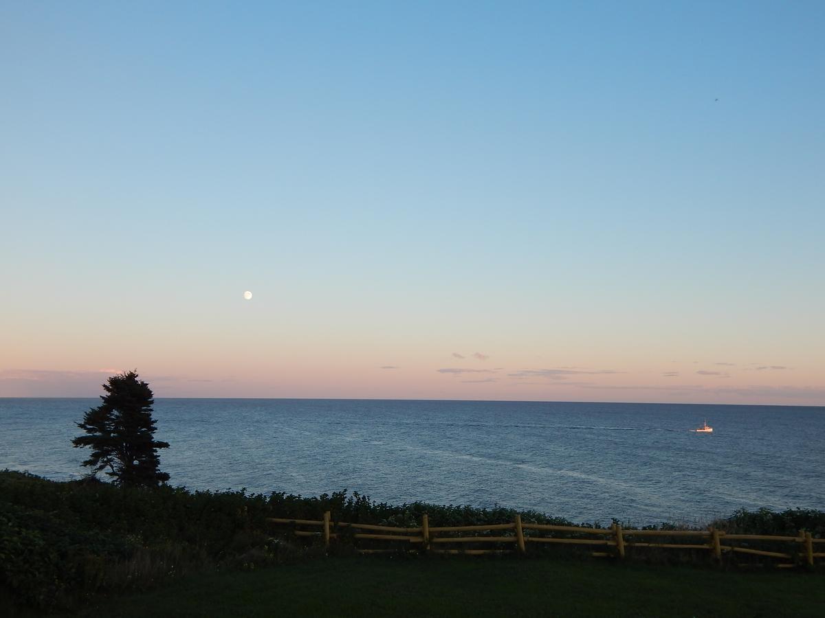 Les Chalets Brise-De-Mer Sainte-Therese-de-Gaspe Dış mekan fotoğraf